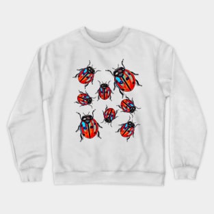 Lady Bug Luck Crewneck Sweatshirt